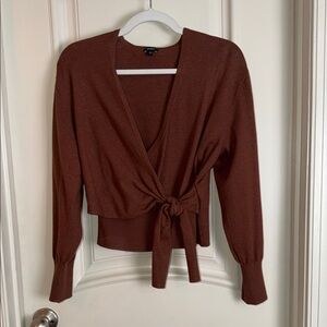 Express Brown V-Neck Sweater